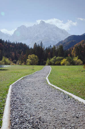 A beautiful road in the middle of green meadows leading to the snow- capped alps mountains.の写真素材