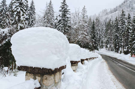 Scenic view of winter landscape with snow covered trees in Alps, Slovenia. Beauty of nature concept background.の写真素材