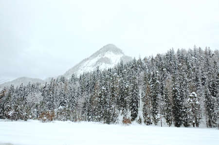 Scenic view of winter landscape with snow covered trees in Alps, Slovenia. Beauty of nature concept background.の写真素材