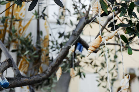 Beautiful background of decorative garland in the form of seashells hanging on an olive tree in the...