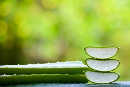 Fresh Aloe vera slices on natural background. Aloe Vera is a very useful herbal medicine for skin care and hair care.の写真素材