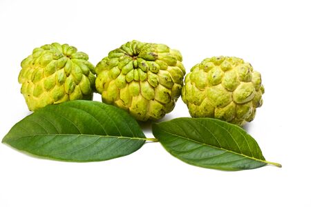 Sugar apple or custard apple with green leaf isolated on white background