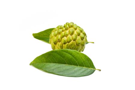 Sugar apple or custard apple with green leaf isolated on white backgroundの写真素材