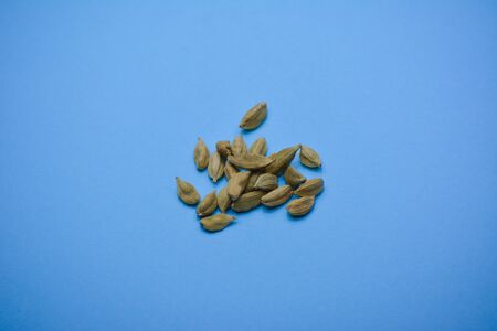 Cardamom on blue colored backgroundの写真素材