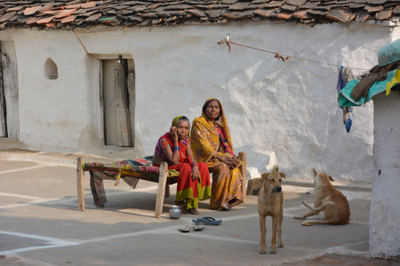 TIKAMGARH, MADHYA PRADESH, INDIA - NOVEMBER 15, 2019: Portrait of unidentified Indian women talking on mobile at her village.のeditorial素材