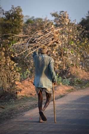 TIKAMGARH, MADHYA PRADESH, INDIA - MARCH 24, 2020: Unidentified rural old age man carrying firewood on road.のeditorial素材