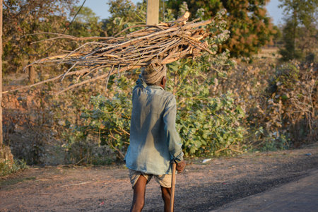 TIKAMGARH, MADHYA PRADESH, INDIA - MARCH 24, 2020: Unidentified rural old age man carrying firewood on road.のeditorial素材
