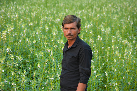 TIKAMGARH, MADHYA PRADESH, INDIA - SEPTEMBER 15, 2020: Indian farmer at sesame field.のeditorial素材