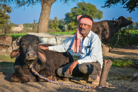 Indian farmer sitting with his buffalo