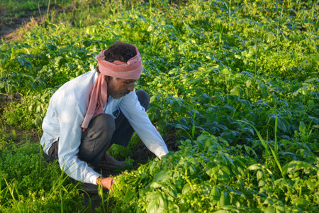Happy Indian farmer sitting in field