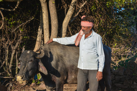 Indian farmer standing with his buffalo