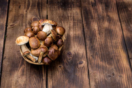 Mushroom Boletus over Wooden Background. Autumn Mushrooms. Boletus over Wooden Background, close up on wood rustic table. Cooking delicious organic mushroom.Mushroom season.Top view.の写真素材