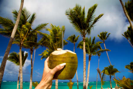 Healthy drink on a Caribbean beach. Coconut drink hand held on the beach among palm trees.の写真素材