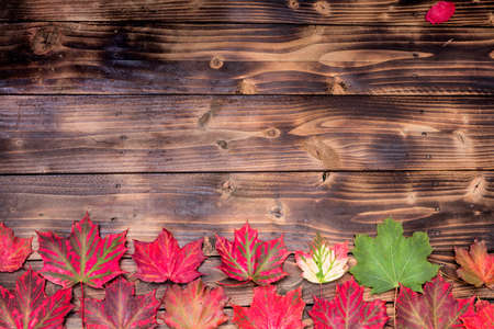 Autumn background. Red and Orange Autumn Leaves on wooden background. Flat lay autumn composition...