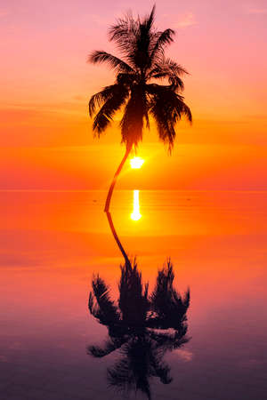 Sunset on Maldives island, luxury water villas resort and wooden pier. Beautiful sky and clouds and beach with palms background for summer vacation holiday and travel concept.の写真素材