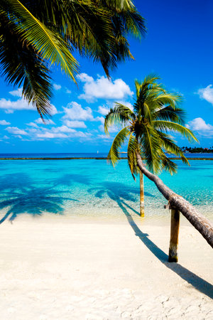 Landscape on Maldives island. Beautiful sky and clouds and beach with palms background for summer vacation holiday and travel concept.の写真素材