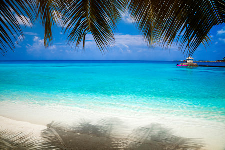 Landscape on Maldives island, luxury water villas resort and sandy beach. Beautiful sky and ocean and beach with palms background for summer vacation holiday and travel concept. Luxury travel. Tourism.の写真素材