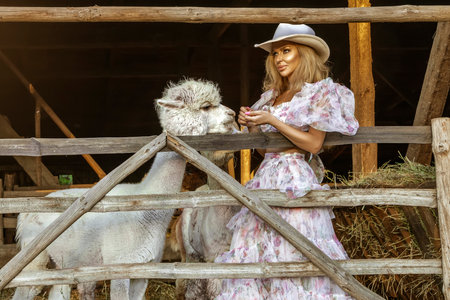 Beautiful young happy woman with cute alpacas on a spring day at the alpaca ranch. Pretty cowgirl...