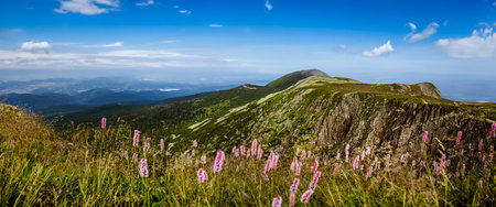 Beautiful mountain landscape of Karkonosze in summer. Giant Mountains.の写真素材