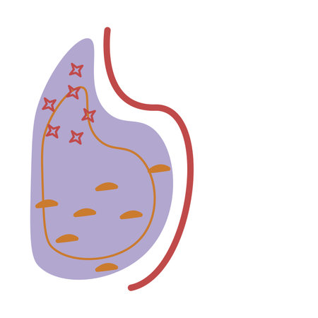 Hand Draw Boho Style Background Decorationsのイラスト素材