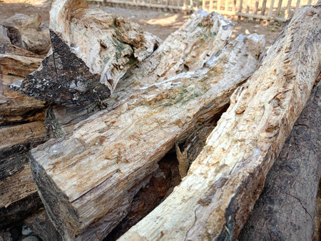 Pile of wood in the yard of the house