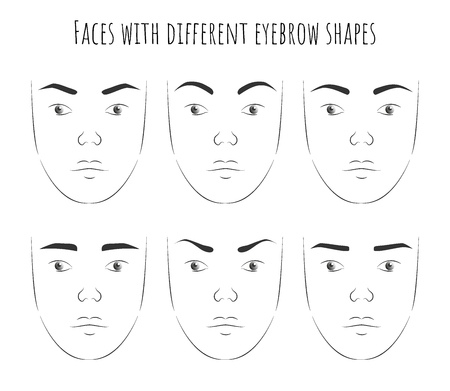 poster with female faces with different forms of eyebrows. change in the character of the face with the change of eyebrowsのイラスト素材