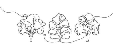 Trees one line set art. Continuous line drawing of plants, herb, tree, wood, nature, flora, poplar, maple, ash tree, linden.のイラスト素材