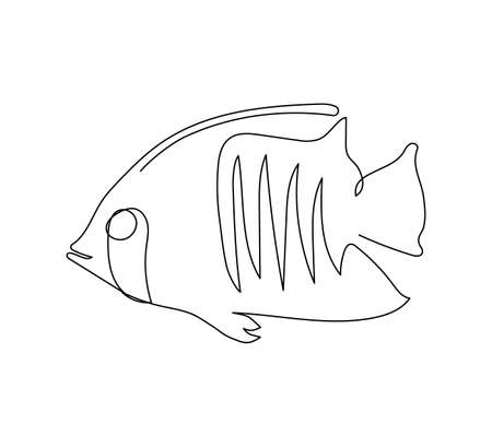 Zebrasoma xanthurum, veliferum, angel fish, surgeonfish continuous line drawing. One line art of exotic, tropical fish, seafood.のイラスト素材
