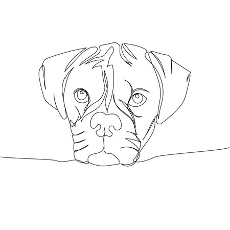 Boxer dog breed, guard dog, service dog one line art. Continuous line drawing of friend, dog, doggy, friendship, care, pet, animal, family.のイラスト素材