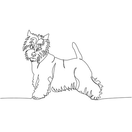 West Highland White Terrier, Westie, Scottish dog breed, companion dog, hunting dog one line art. Continuous line drawing of friend, dog, doggy, friendship, care, pet, animal, family.のイラスト素材