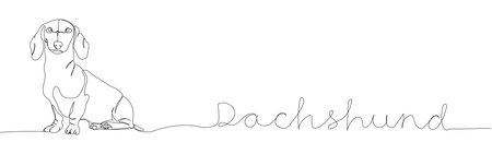 Dachshund short-haired, Teckel, dog breed, companion dog, hunting dog one line art. Continuous line drawing of friend, doggy, friendship, family, dog with inscription, lettering, handwritten.のイラスト素材