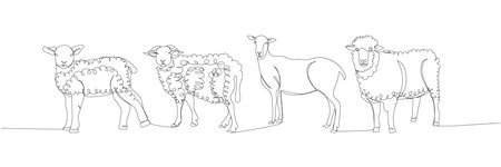 sheep set, ram, livestock one line art. Continuous line drawing of farm, nature, agriculture, farm animals, rural life, ranch.のイラスト素材