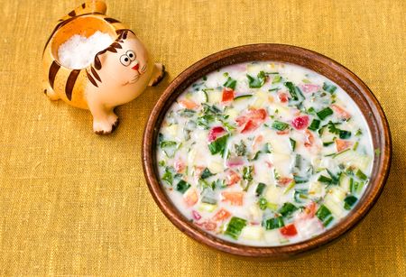 Russian summer cold vegetable soup on kefir (sour-milk) base - okroshkaの写真素材