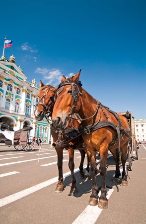 Horses with carriage waiting for the tourists in front of Hermitage Museum, St.Petersburg, Russiaの写真素材