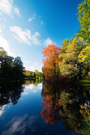 Autumn trees reflected at the pondの写真素材