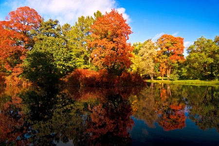 Colorful autumn trees reflected at the small pondの写真素材