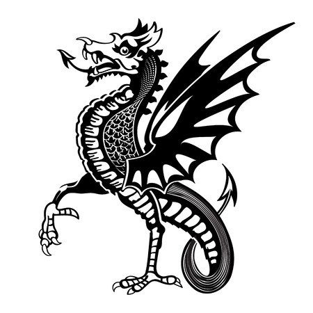 Vintage medieval dragon drawingのイラスト素材