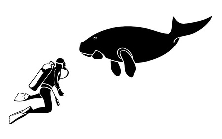 Scuba diver and dugong contour silhouettes isolatedのイラスト素材