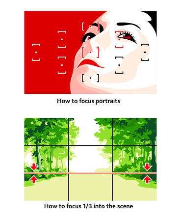 Camera focusing tips for portraits and landscapesのイラスト素材