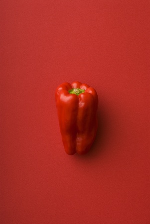 RED Pepper on red backgroundの写真素材