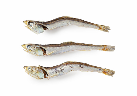 Soup stock of dried sardines Japanの写真素材