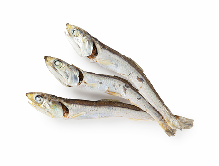 Soup stock of dried sardines Japanの写真素材