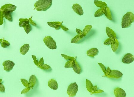 A view from above of many mint leaves on a pale green background