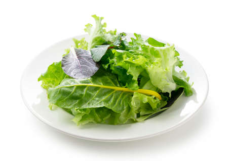 Various salad leaves on a plate on a white background