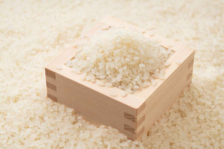 White Rice and Japanese Masuの写真素材