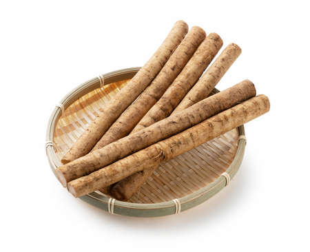 Burdock in a bamboo basket on a white backgroundの写真素材