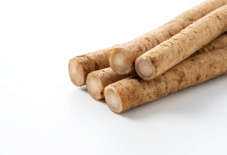 A burdock placed on a white background with a copy space