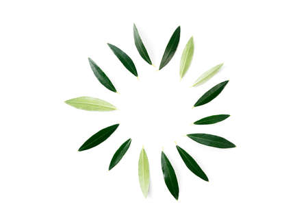 Olives placed to become a circle, placed on a white background. View from aboveの写真素材