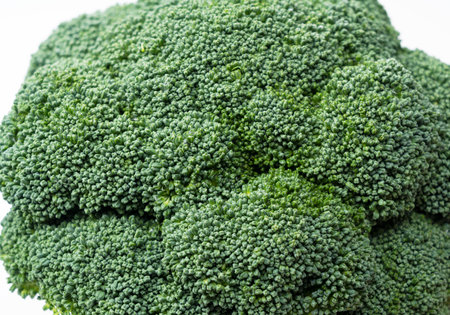 Close-up of broccoli placed on a white backgroundの写真素材