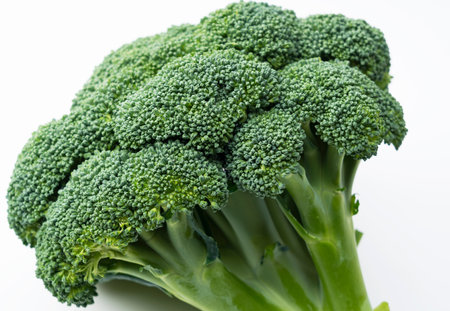 Close-up of broccoli placed on a white background